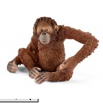 Schleich Female Orangutan  B01M2UM92R